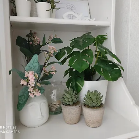 Apartman Piso De Tres En Barbate, Cadiz *